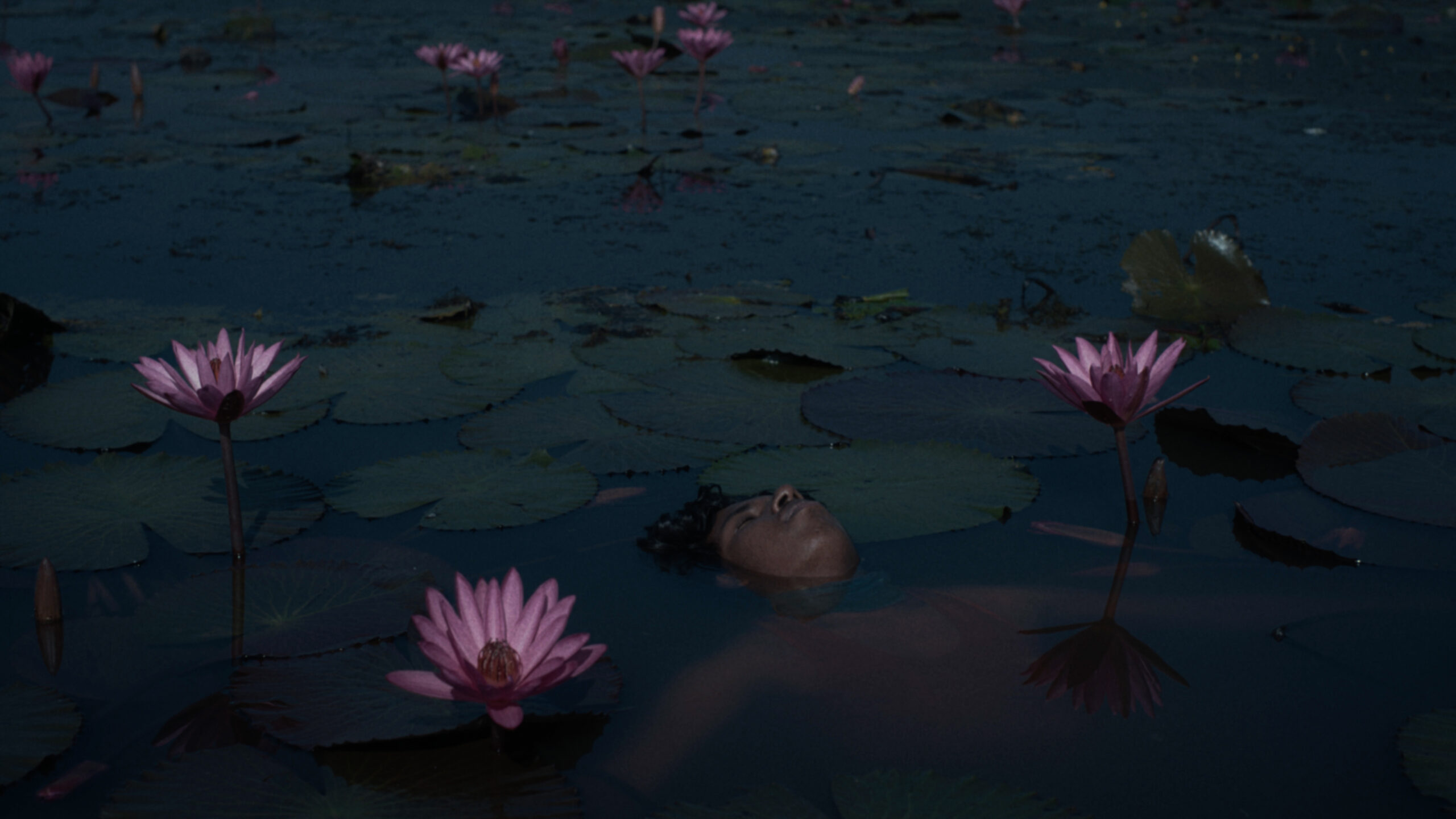 Bodies of melancholia – Le recensioni
